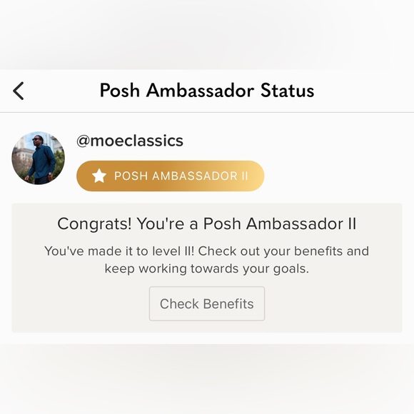 Meet your Posher, Maurice - Picture 3 of 4